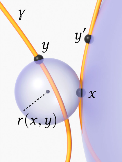  Repulsive Curve Optimization for Modeling Muscle Tissue